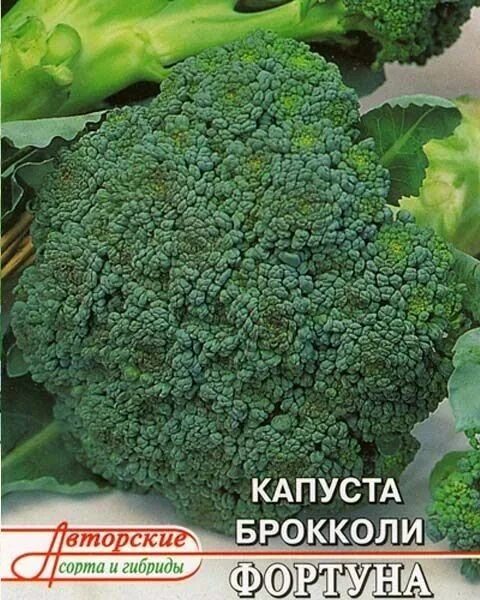 Капуста брокколи фортуна описание сорта фото отзывы ВЫРАЩИВАНИЕ БРОККОЛИ В ПРИРОДНОМ ЗЕМЛЕДЕЛИИ! Выращивание брокколи, Овощные грядк