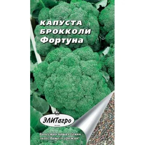 Капуста брокколи фортуна описание сорта фото отзывы Капуста Брокколи Фортуна А/А Элит Агро в Санкт-Петербурге