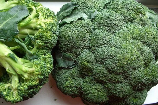Капуста брокколи фото Капуста брокколи: сорта, выращивание рассады, уход, полезные свойства и рецепты 
