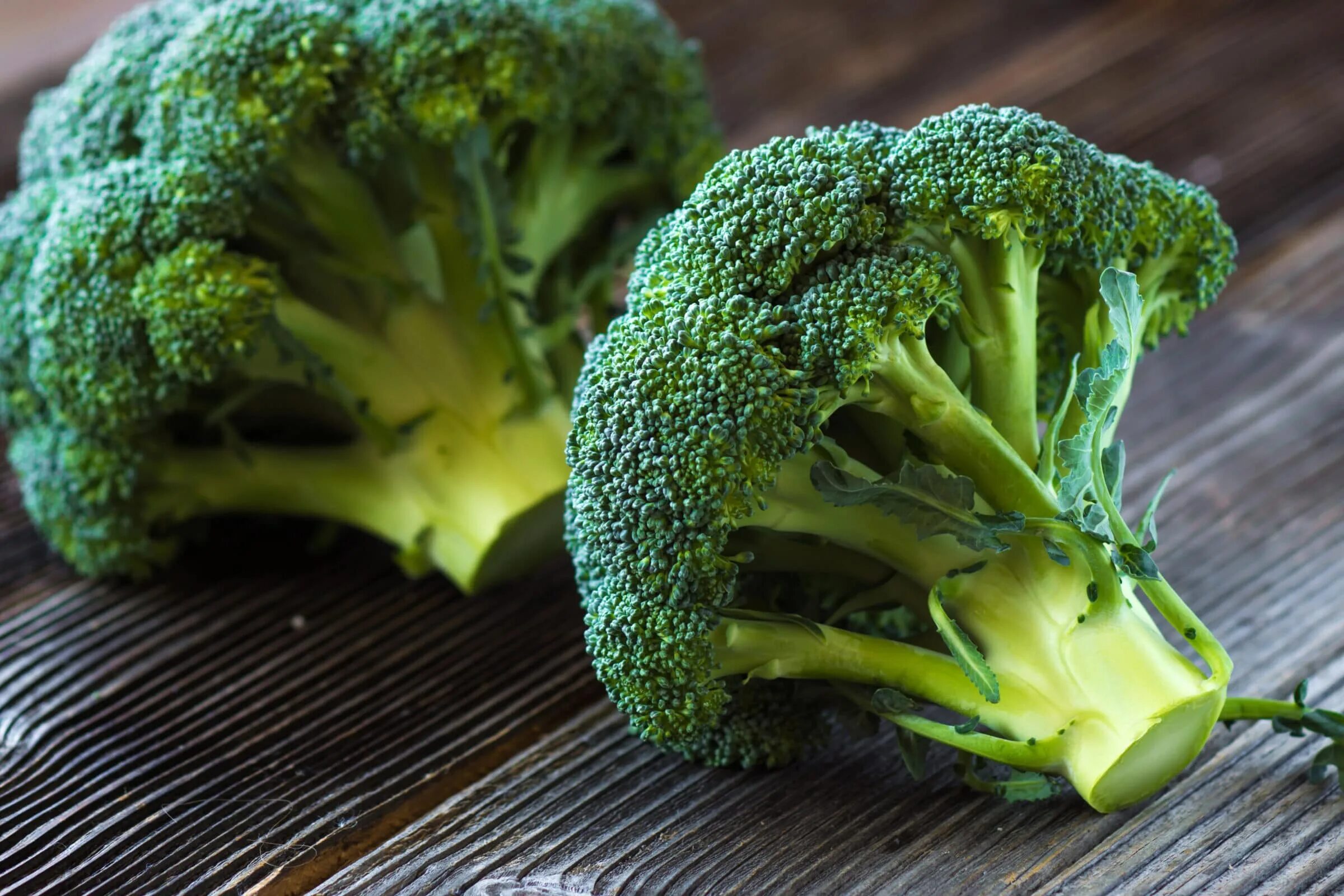 Капуста брокколи фото рецепты Category: Broccoli Seeds Seedway