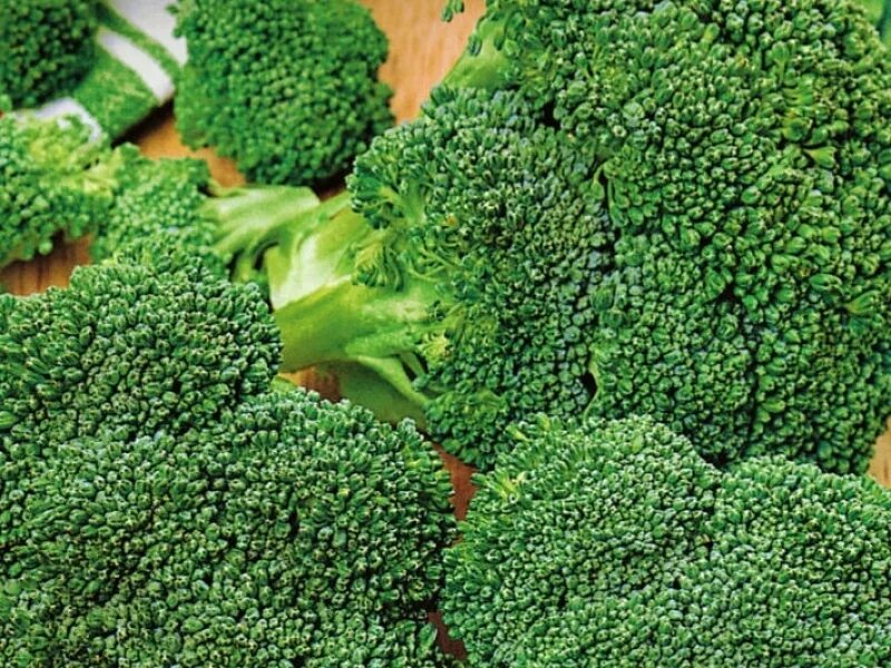 Капуста брокколи фото тонус Капуста брокколи Тонус - семена купить в Минске, доставка почтой по Беларуси, не