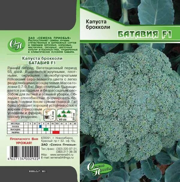 Капуста брокколи описание сорта фото Лучшие сорта ранней капусты - названия, фото и отзывы