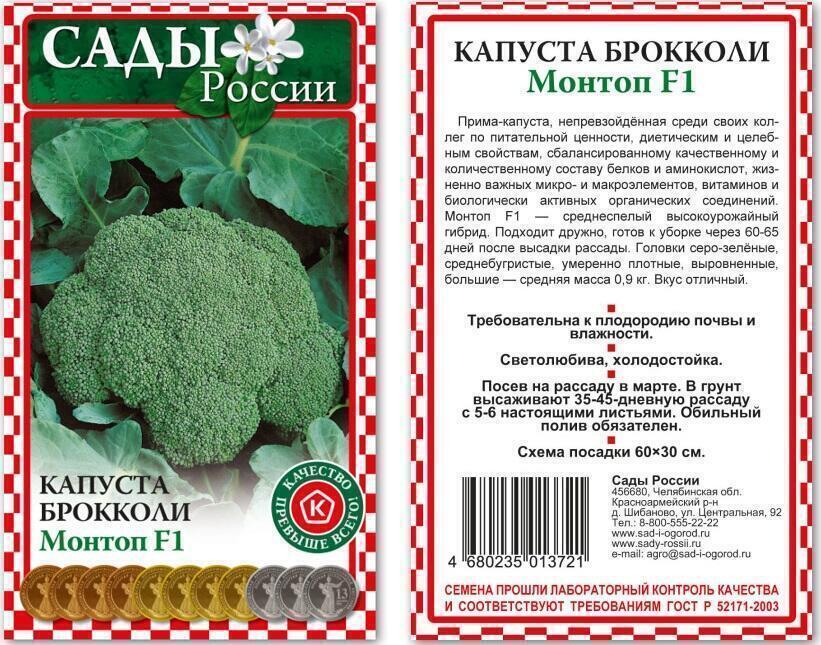 Капуста брокколи описание сорта фото Сорта брокколи для подмосковья открытого грунта - MosRosa.ru