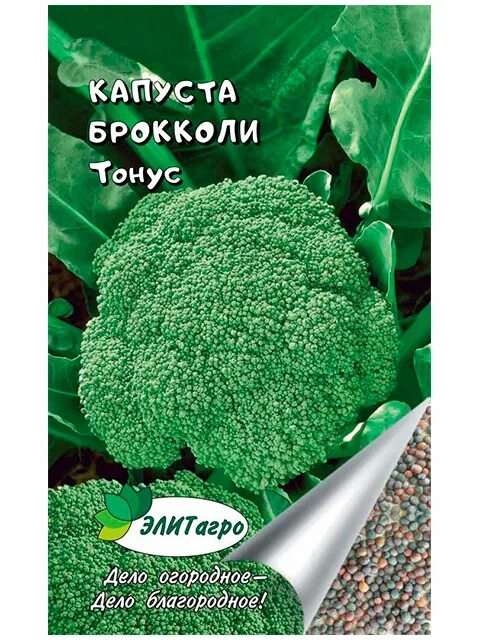 Капуста брокколи тонус описание отзывы фото Капуста Капуста Брокколи