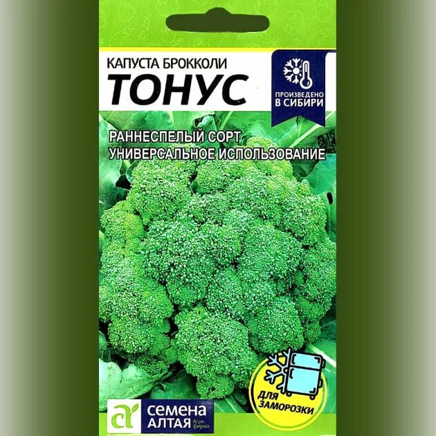 Капуста брокколи тонус описание отзывы фото Брокколи тонус Фитостудия-63.ру