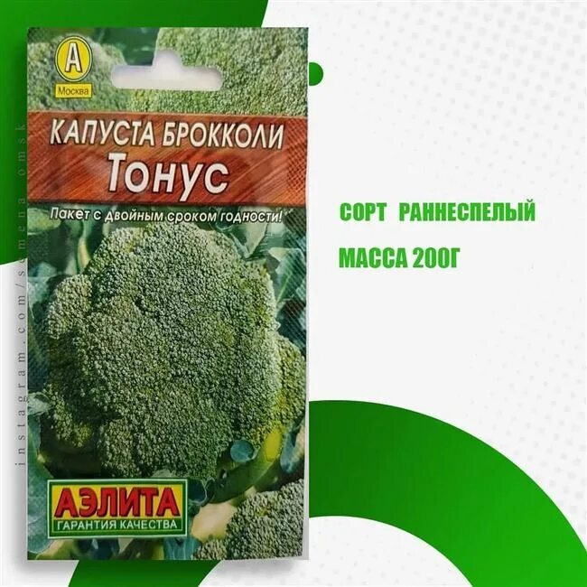Капуста брокколи тонус описание отзывы фото Капуста брокколи Тонус: отзывы, описание, фото, характеристика сорта, достоинств