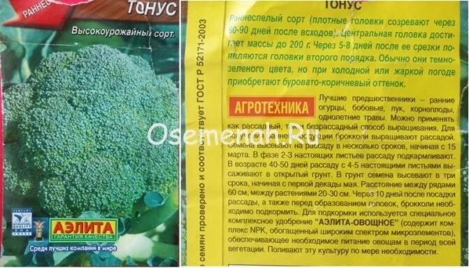 Капуста брокколи тонус описание отзывы фото Капуста брокколи ТОНУС: отзывы, фото, описание, выращивание сорта