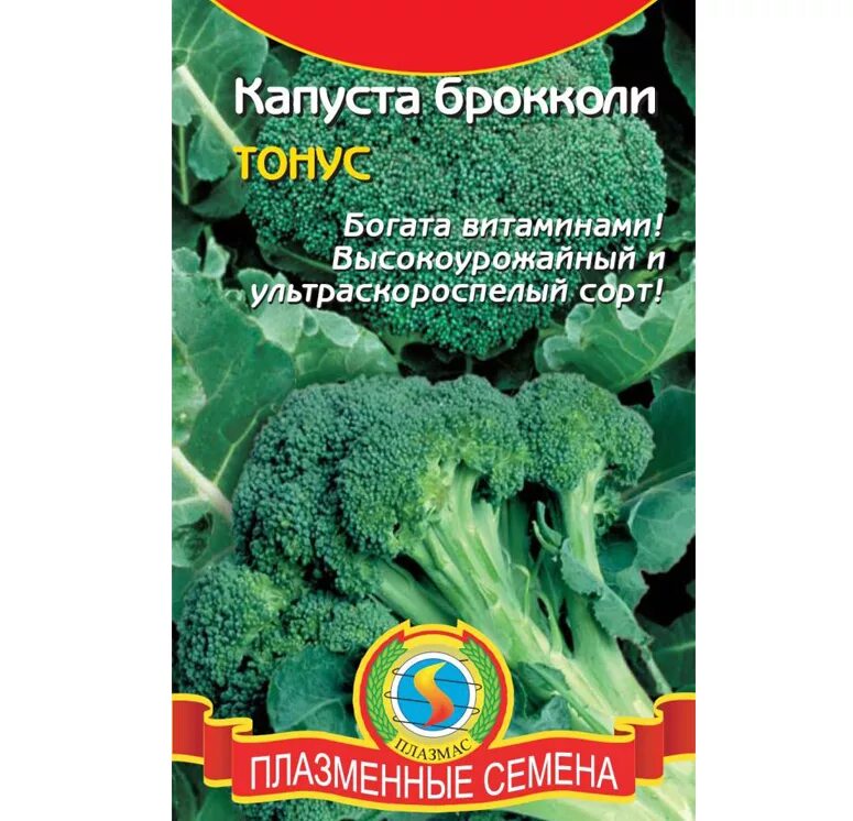 Капуста брокколи тонус описание сорта фото Капуста брокколи Тонус