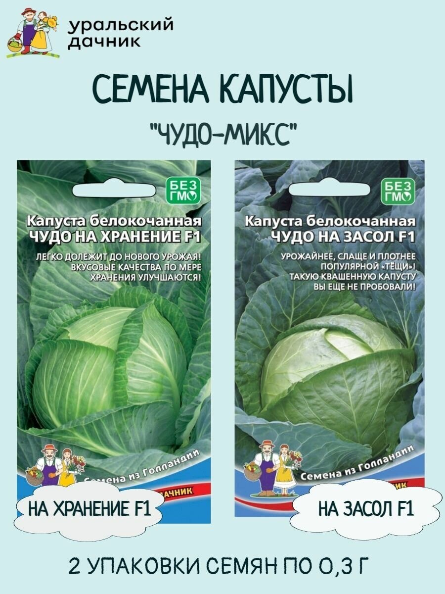 Капуста чудо описание сорта фото отзывы Семена капусты чудо на хранение + чудо на засол F1 - купить в интернет-магазине 