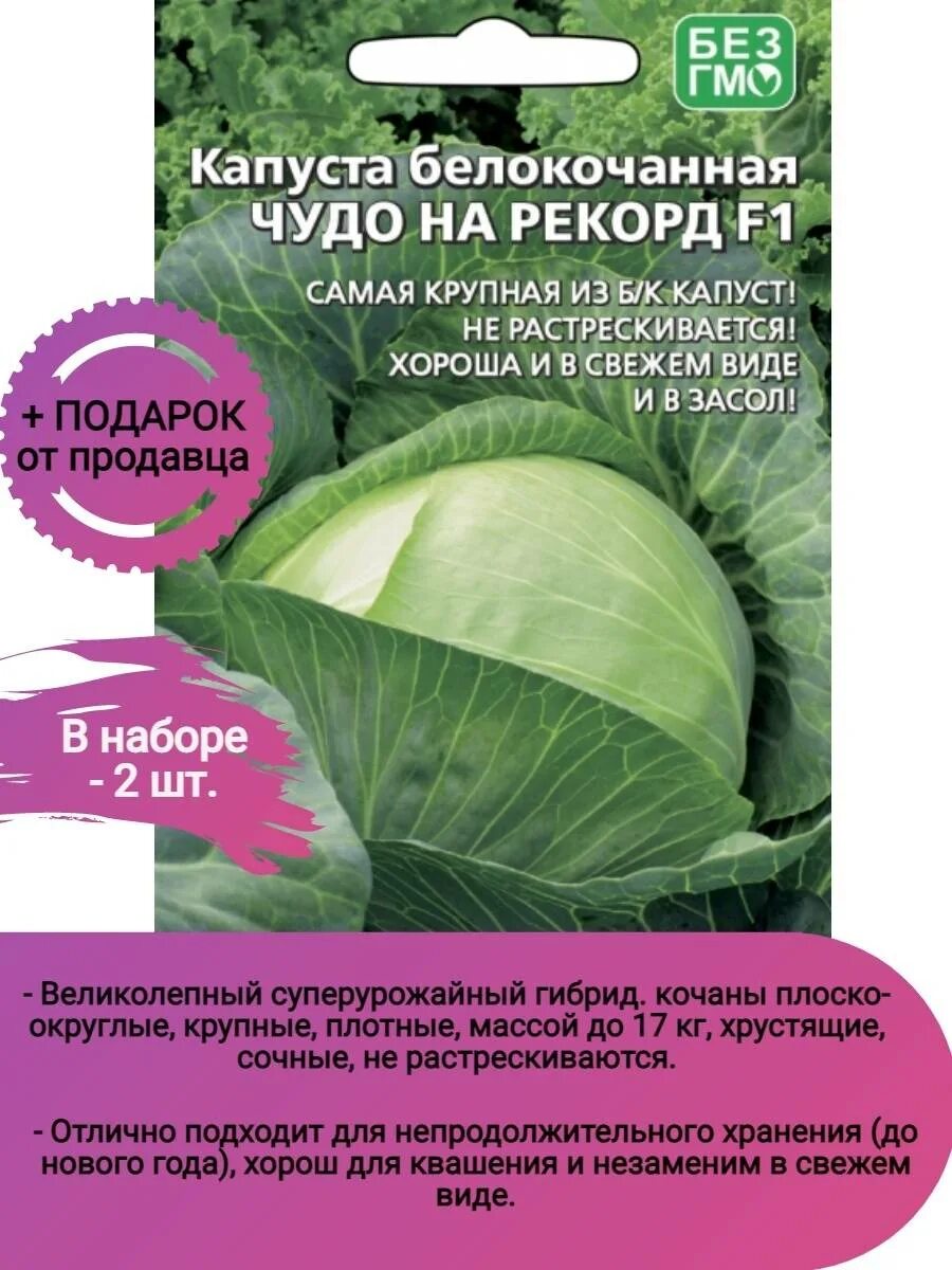 Капуста чудо описание сорта фото отзывы Капуста чудо на рекорд описание сорта фото отзывы садоводов Фитостудия-63.ру