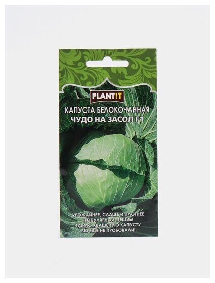 Капуста чудо описание сорта фото отзывы Семена Капуста "Уральский дачник", "Чудо на Засол" F1, для квашения и засола, ко