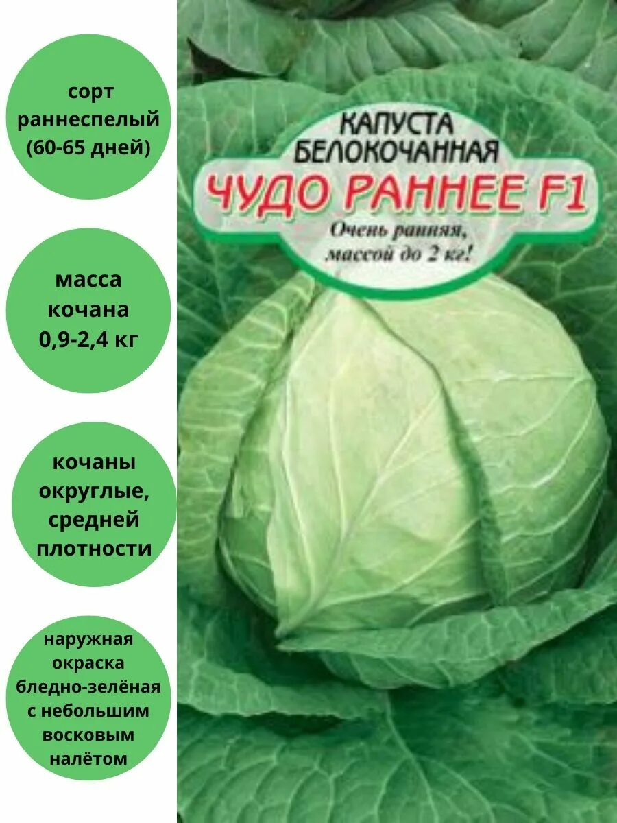 Капуста чудо описание сорта фото отзывы Капуста Чудо раннее белокочанная Сибирские сортовые семена 83238833 купить за 10