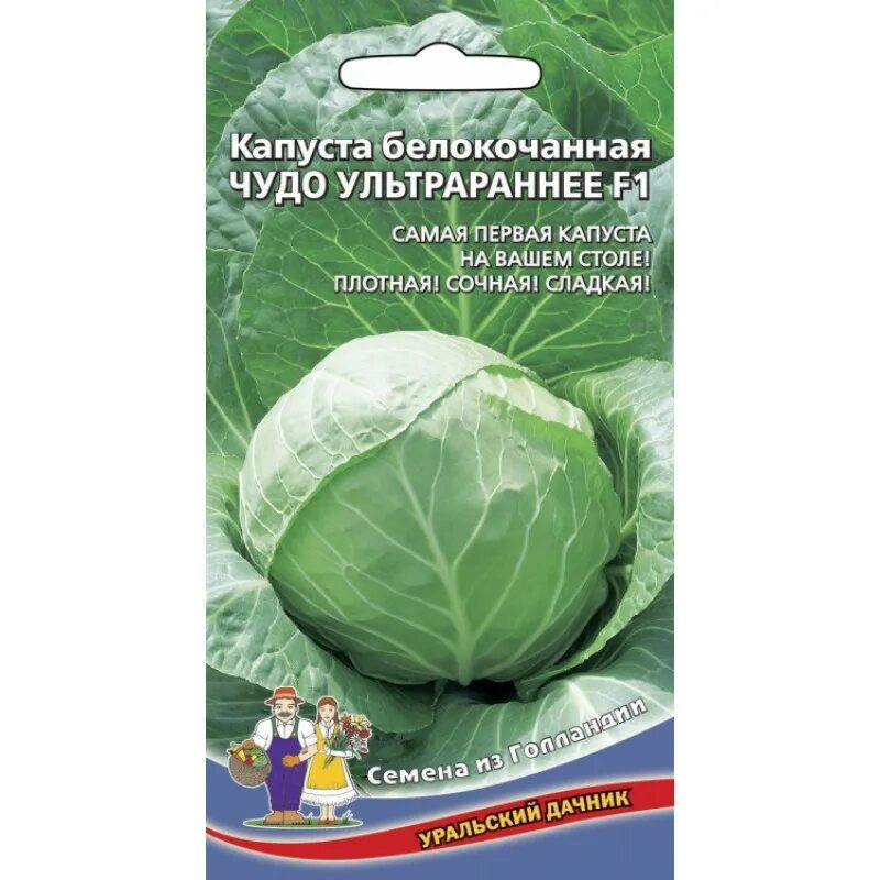 Капуста чудо описание сорта фото отзывы Капуста Чудо Ультрараннее (Уральский Дачник) Ц - купить в интернет-магазине.