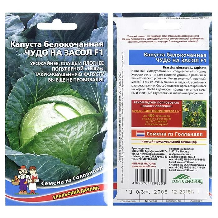 Капуста чудо ультрараннее описание сорта фото отзывы Капуста Б/К Чудо на засол F1 из Семена Капусты 29руб.