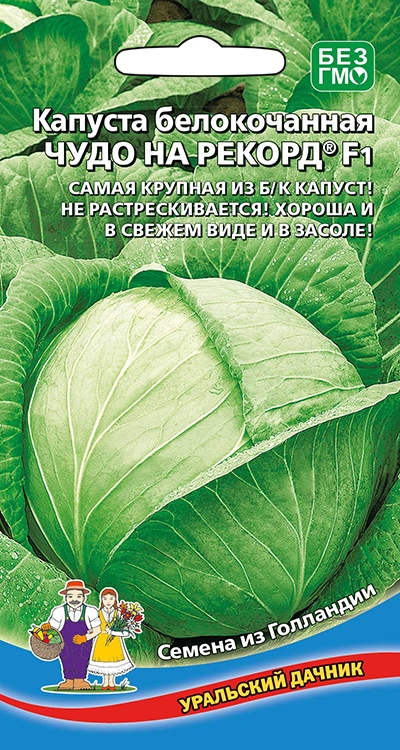 Капуста чудо ультрараннее описание сорта фото отзывы Семена капуста белокочанная Уральский дачник Чудо на рекорд F1 1 уп. - характери