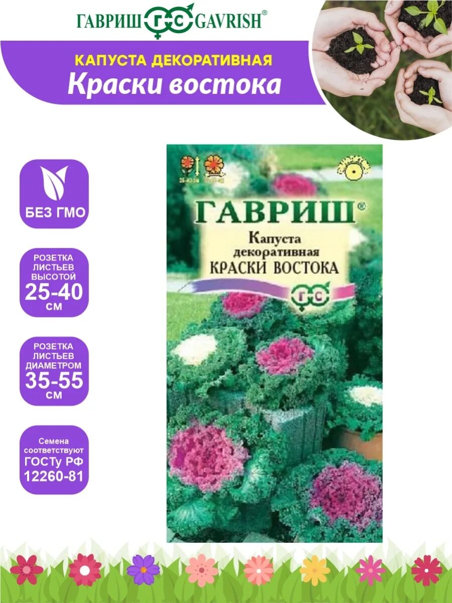 Капуста декоративная краски востока фото Семена Капуста декоративная Краски востока 0,05 гр. Гавриш 66134888 купить за 11