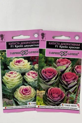 Капуста декоративная крейн красная фото 15 отзывов на Гавриш Набор семян от покупателей OZON