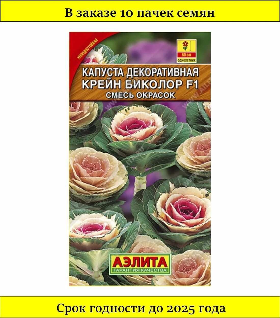 Капуста декоративная крейн красная фото Декоративная капуста крейн пинк фото - ViktoriaFoto.ru