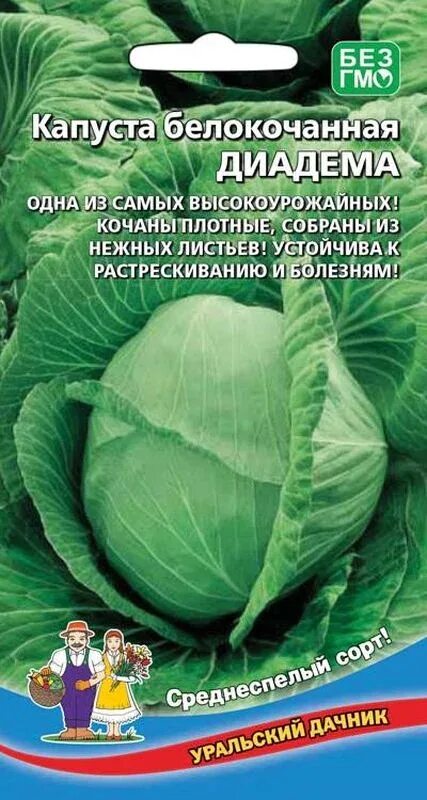 Капуста диадема описание сорта фото отзывы Семена Капуста б/к Диадема: описание сорта, фото - купить с доставкой или почтой