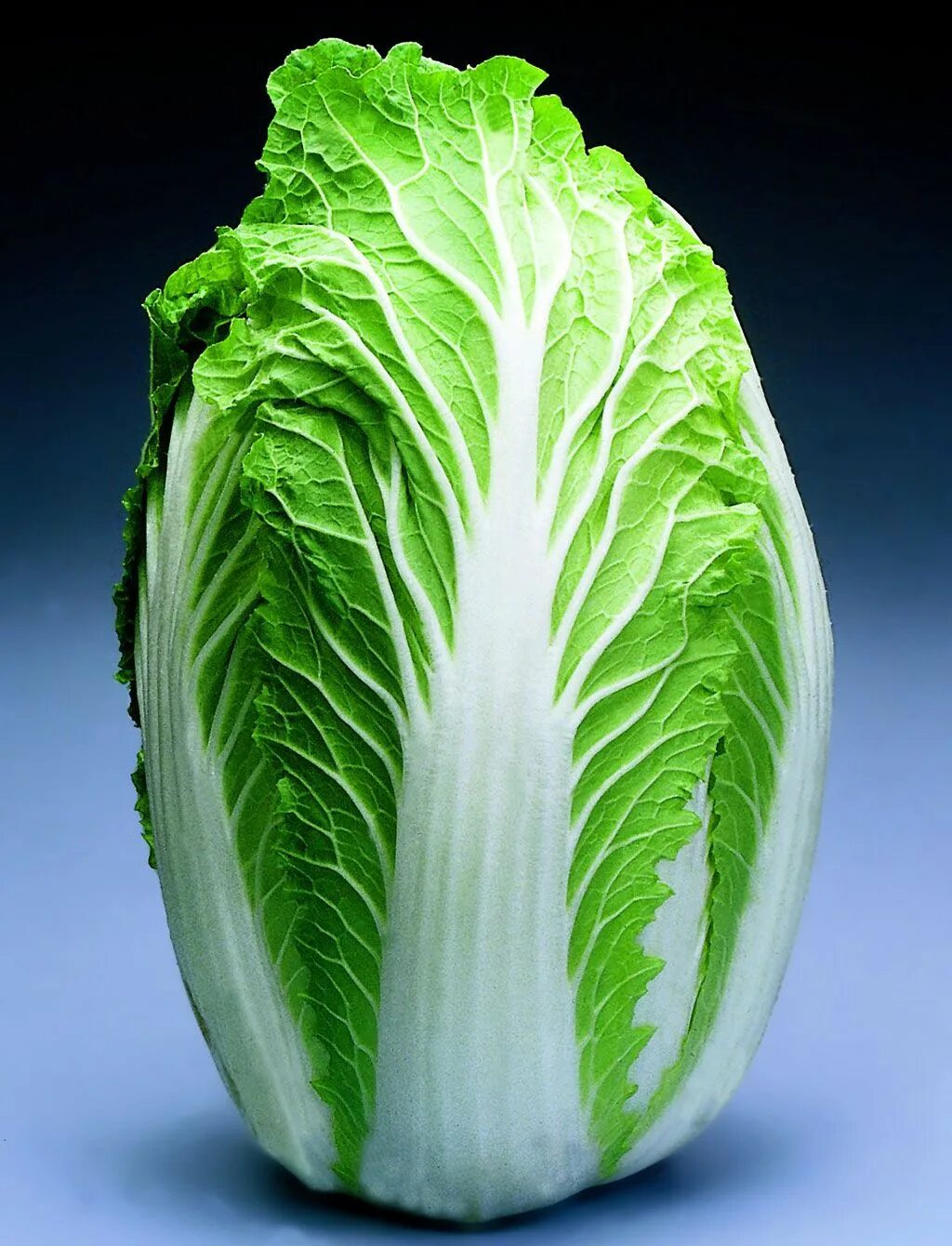 Капуста длинная фото Cabbage Fall garden vegetables, Cabbage, Planting vegetables