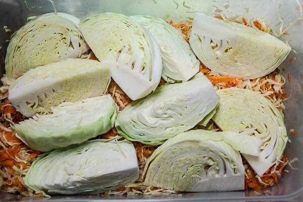 Капуста для квашения фото КВАШЕНАЯ КАПУСТА С САХАРОМ И КЛЮКВОЙ