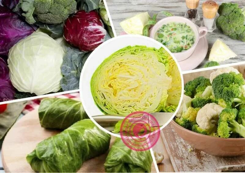 Капуста для похудения рецепты с фото Капуста для похудения: полезные свойства, как применять, отзывы - минус 24 кг ле