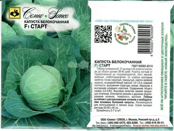 Капуста доброводская описание сорта фото отзывы Поступила первая рассада!!! Капуста Старт и Июньская. Цена 30 руб. Капуста Старт
