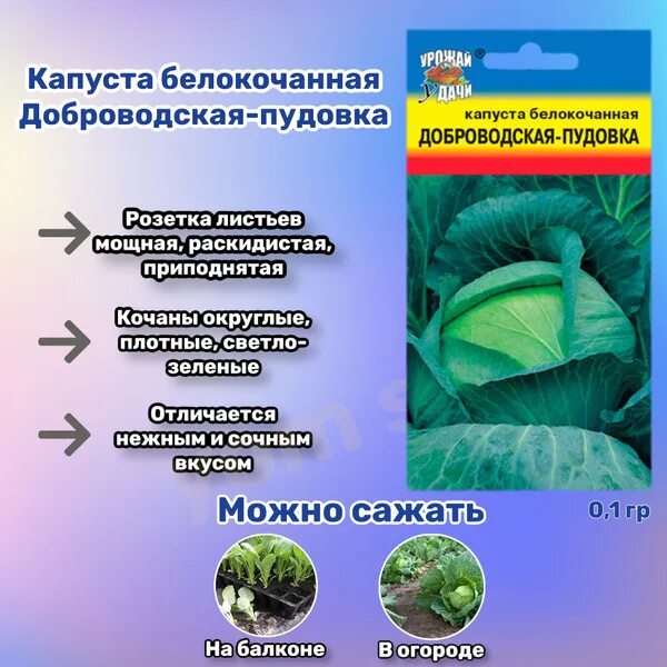 Капуста доброводская описание сорта фото отзывы Капуста Урожай удачи Капуста Yom Shop - купить по выгодным ценам в интернет-мага