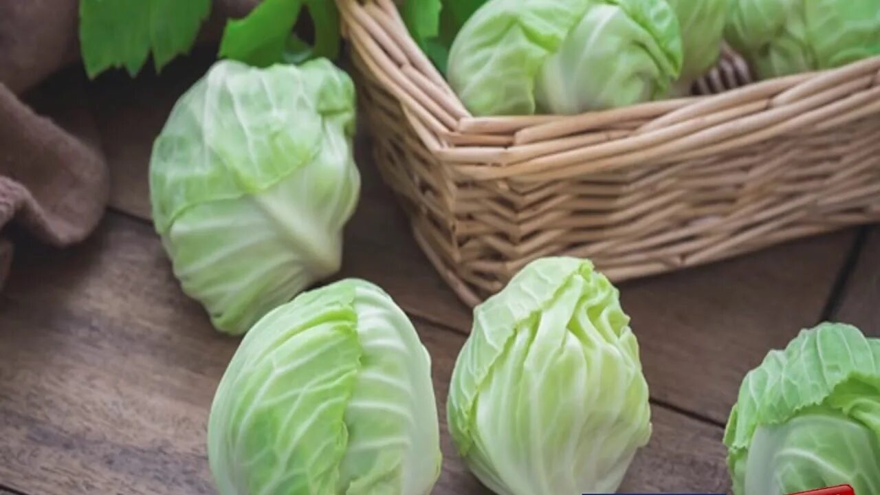 Капуста домашняя фото ป ร ะ โ ย ช น ด- ข อ ง ก ะ ห ล ำ ด า ว - YouTube