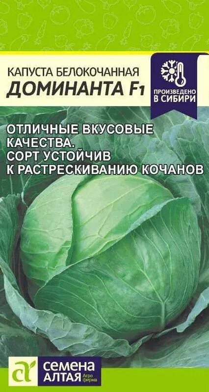 Капуста доминанта f1 описание сорта фото отзывы Семена Капуста б/к Доминанта: описание сорта, фото - купить с доставкой или почт