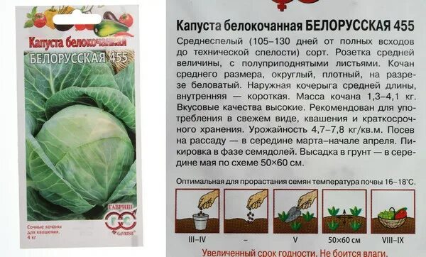 Капуста доминанта f1 описание сорта фото отзывы Астра Факел 0, , 3 г, красная (071-00979) - Купить по цене от 9.03 руб. Интернет