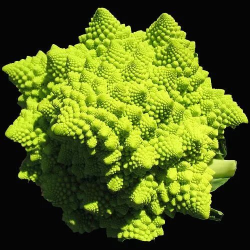 Капуста дракон фото Romanesco broccoli, quite possibly the most bizarre vegetable ever. Except perha