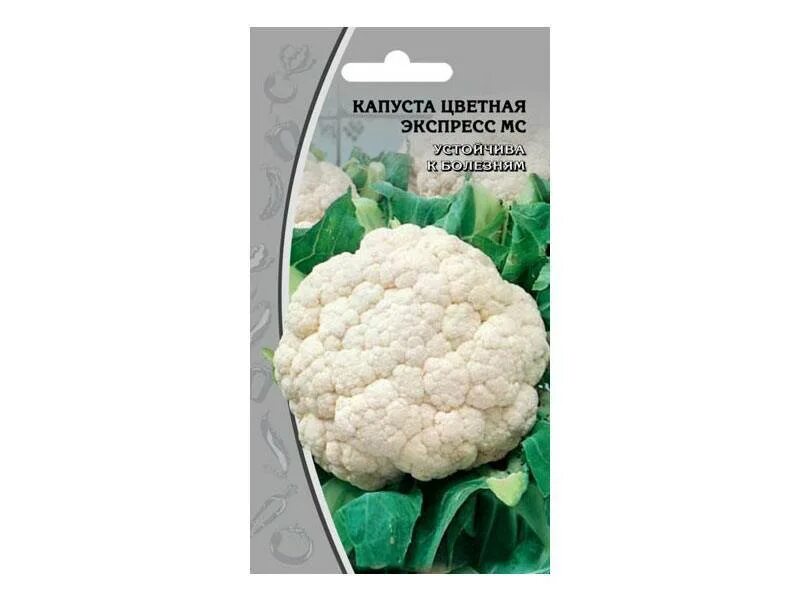 Капуста экспресс фото КАПУСТА цветная Экспресс МС раннеспелый (0,3г) Цв.пак (10шт), артикул: 035141 ку