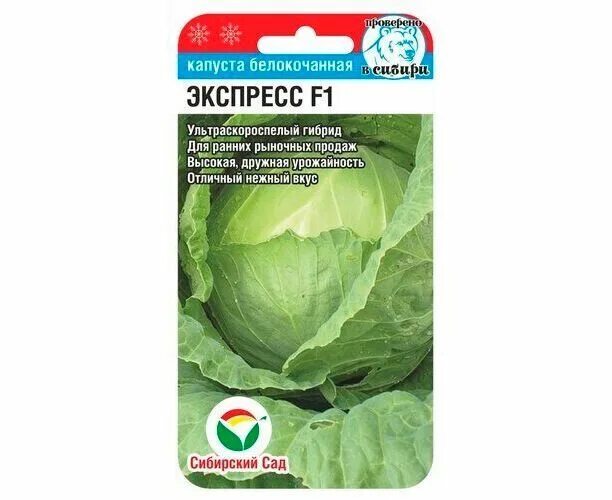 Капуста экспресс фото Капуста белокочанная Экспресс F1 25шт (Сибирский сад) купить в интернет-магазине
