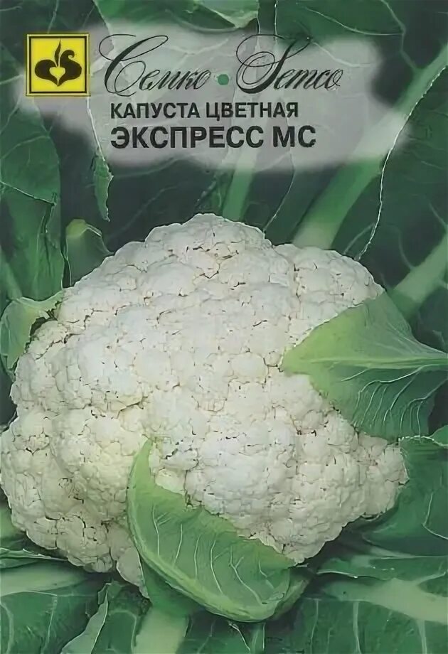 Капуста экспресс фото Цветная капуста сорт экспресс мс - VseSorta.net