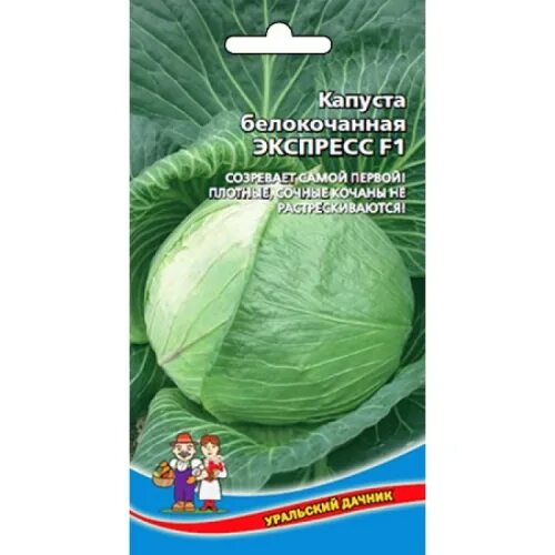 Капуста экспресс фото Капуста б.к. Экспресс F1 (0,3 гр.). уральский дачник. марс