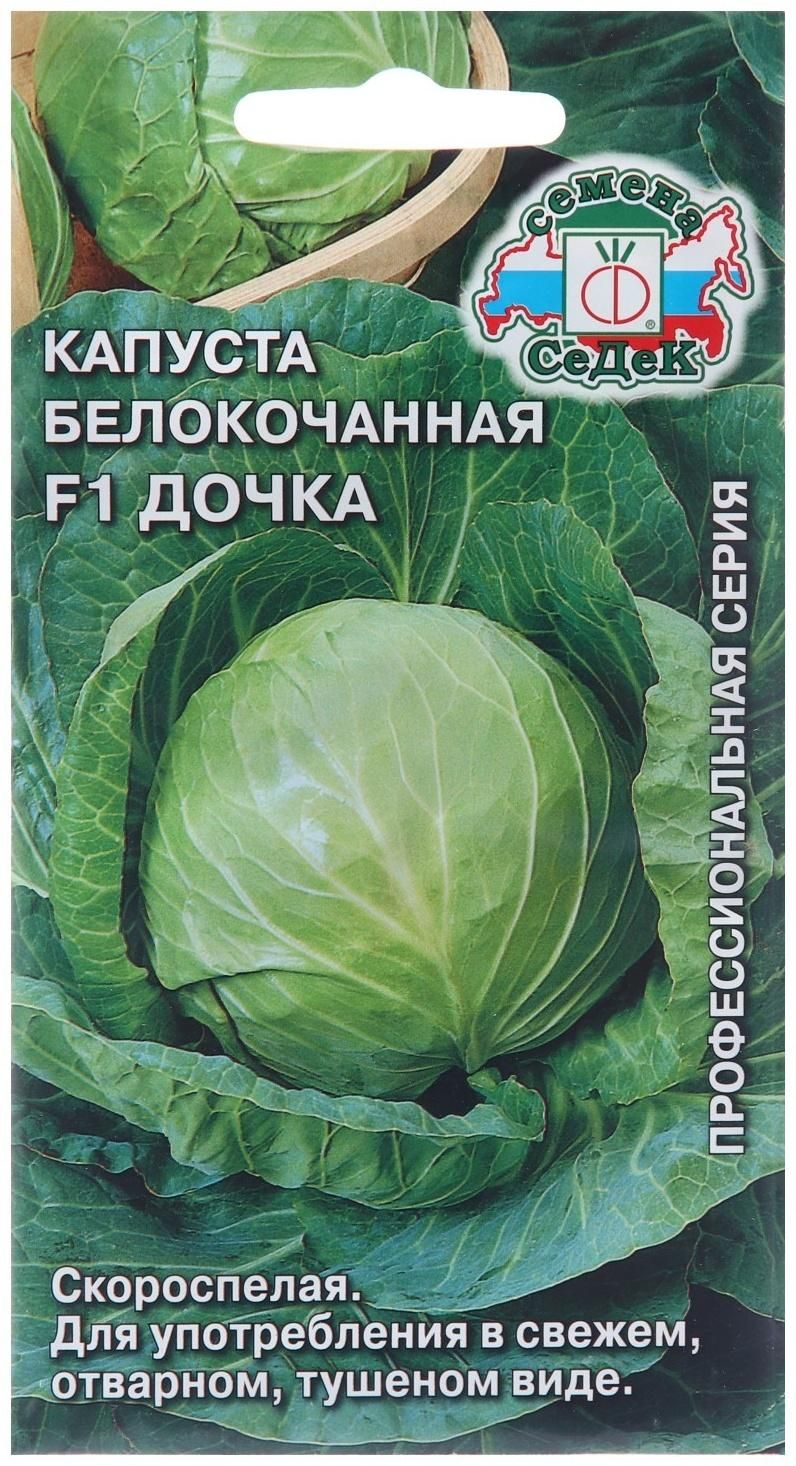 Капуста экспресс фото капусты 522 - купить по выгодным ценам в интернет-магазине OZON (1611188826)