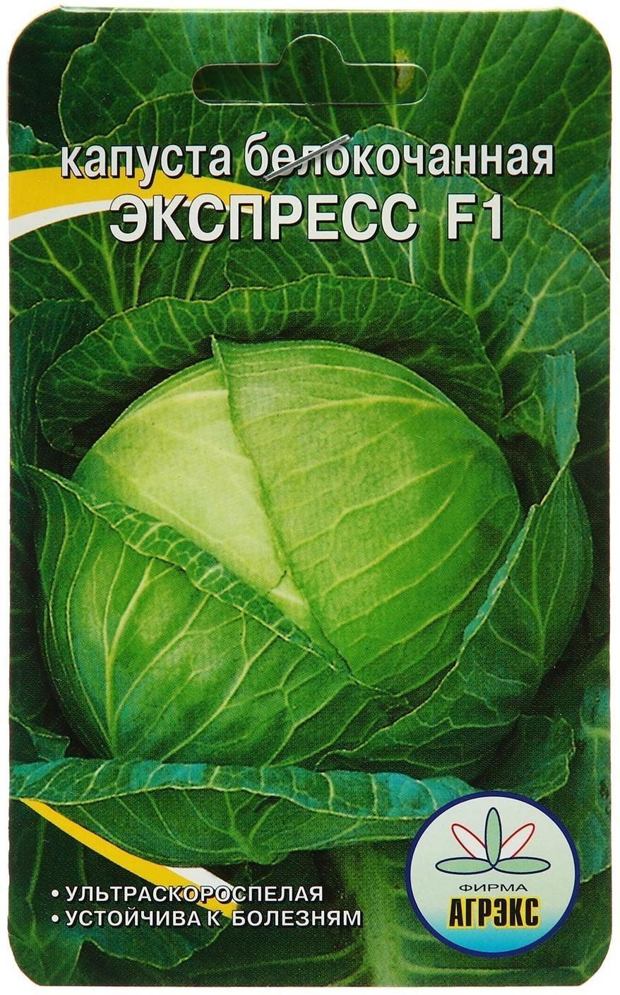 Капуста экспресс фото DENCO капусты 357 - купить по выгодным ценам в интернет-магазине OZON (161238064
