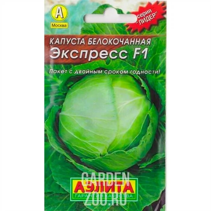 Капуста экспресс фото Капуста б/к Экспресс F1 Лидер купить в Пензе цена 23 руб.Зеленый дом