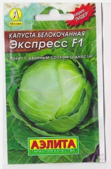 Капуста экспресс фото Капуста б/к Экспресс F1 / 24-OK.RU - Клуб уСПешных приобретений