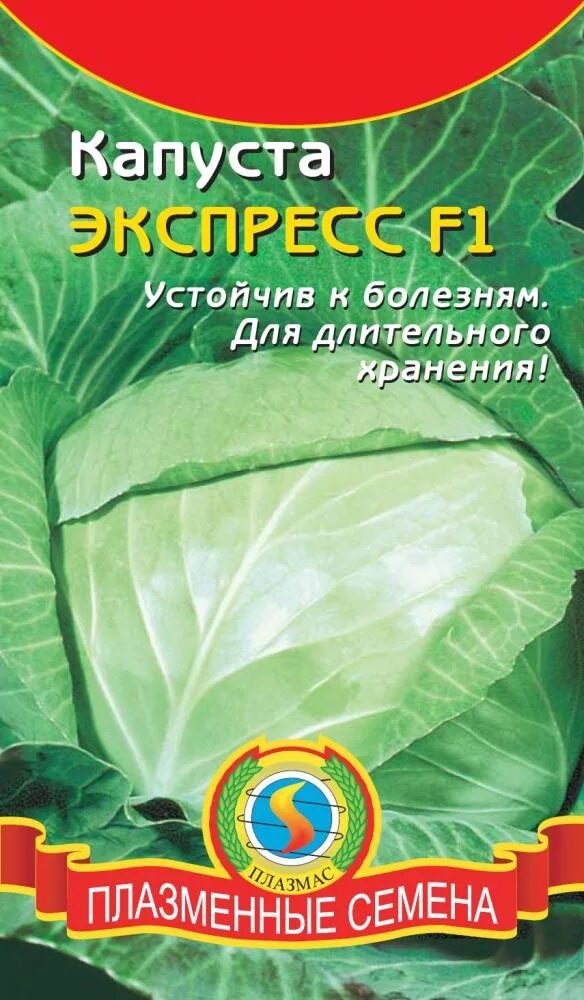 Капуста экспресс фото Продажа семян капусты - интернет-магазин "Сияние"