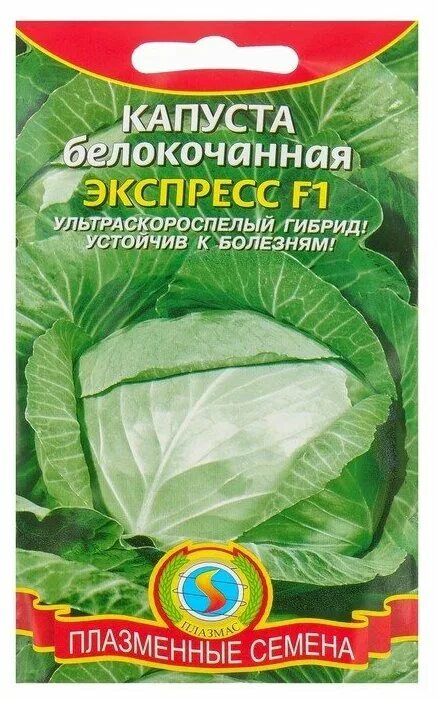Капуста экспресс фото Семена Капуста белокочанная "Экспресс", F1 0,2 г - Семена овощей, ягод и цветов 