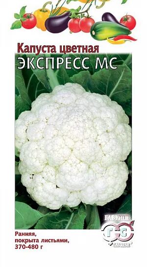 Капуста экспресс фото Купить Семена Капуста цветная Экспресс МС от Гавриш, 1804