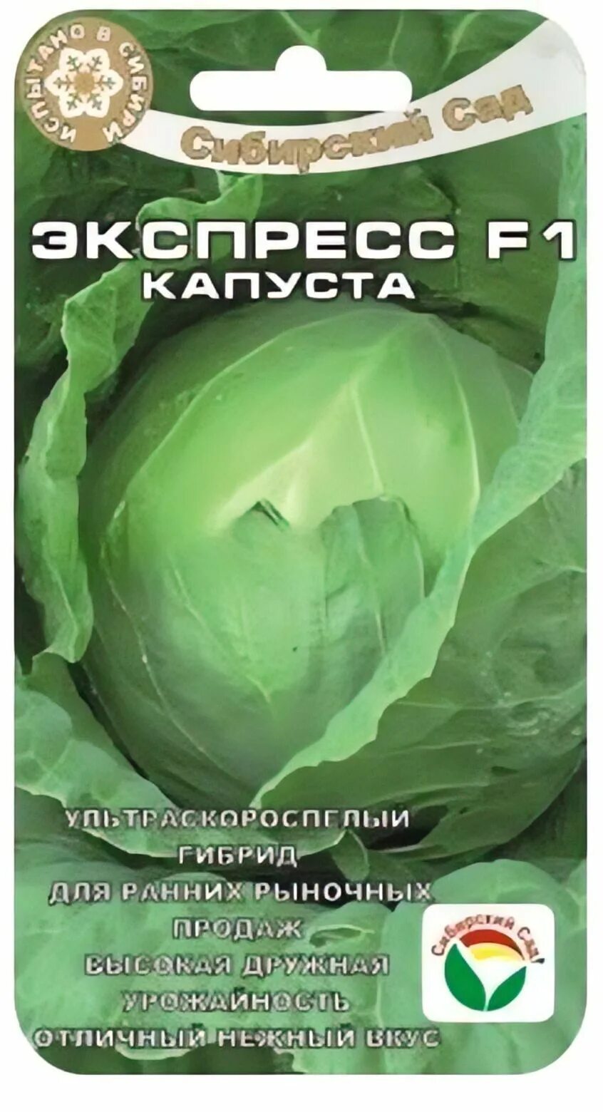 Капуста экспресс фото 139938 - купить по выгодным ценам в интернет-магазине OZON (1401224391)
