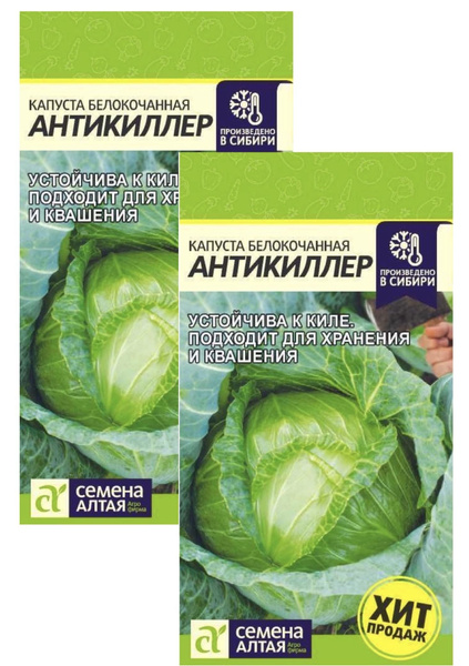 Капуста эверест описание сорта фото и отзывы Капуста Семена Алтая Капуста_светло-зеленый - купить по выгодным ценам в интерне