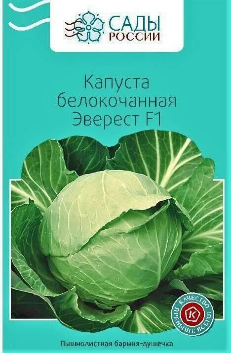 Капуста эверест описание сорта фото и отзывы Посадочный Материал Капуста белокочанная Эверест: купить по цене от 65 руб в инт
