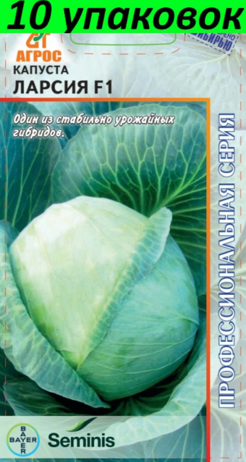 Капуста эверест описание сорта фото и отзывы Капуста белокочанная Ларсия (элит) F1 (15 семян) - купить по низкой цене на Янде