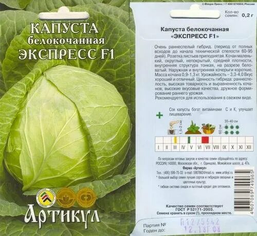 Капуста эверест описание сорта фото и отзывы Раннеспелые сорта белокочанной капусты: особенности использования Антонов сад - 