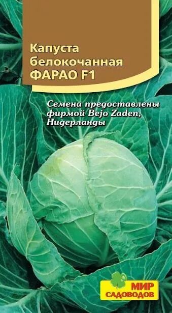 Капуста фарао описание сорта фото Капуста Мир Садоводов Капуста белокочанная "Фарао F1"10 - купить по выгодным цен