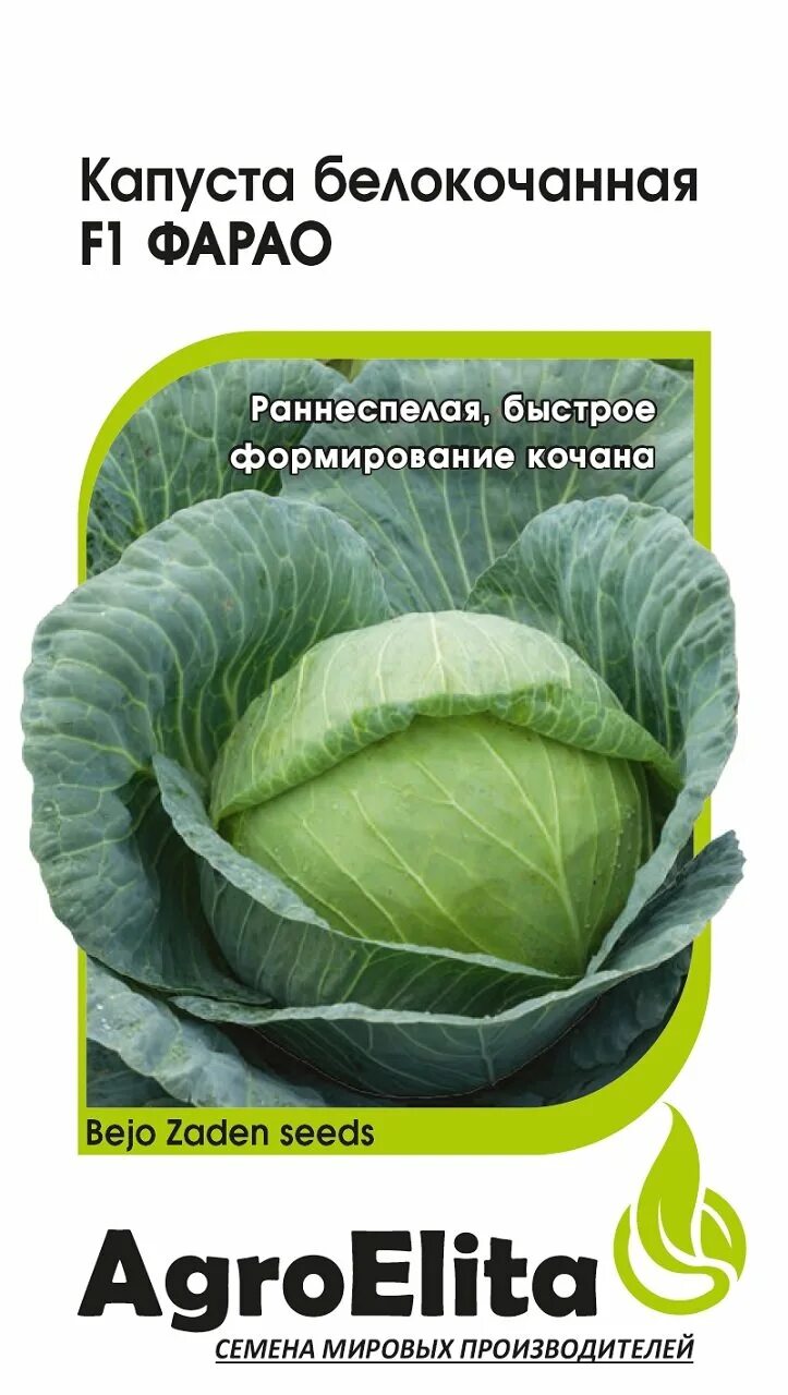 Капуста фарао описание сорта фото ✔ Семена Капуста белокочанная Фарао F1, 10шт, AgroElita, Bejo по цене 52,80 руб.